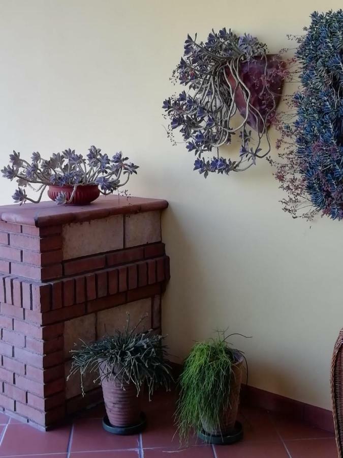Il Melograno Bed & Breakfast Calitri Dış mekan fotoğraf