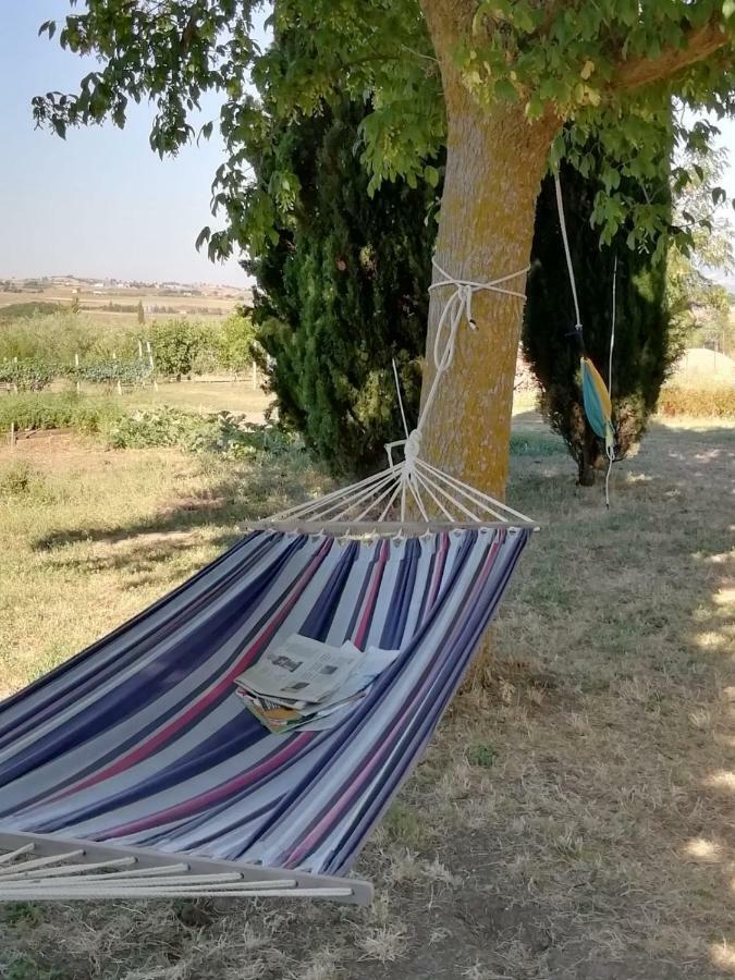 Il Melograno Bed & Breakfast Calitri Dış mekan fotoğraf